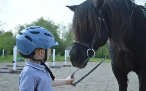 Chłopiec w niebieskim kasku i koszulce polo trzyma wodze czarnego konia. To początek nauki, jak jeździć konno.