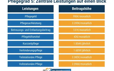 Übersicht der Leistungen und Beitragshöhen für Pflegegrad 5. Enthält Pflegegeld, Sachleistungen, Hilfsmittel und verschiedene Pflegeformen.