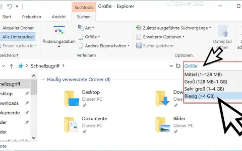 Der Windows Explorer zeigt die Suche nach "Riesig (>4 GB)" an. So kann man große Dateien finden.