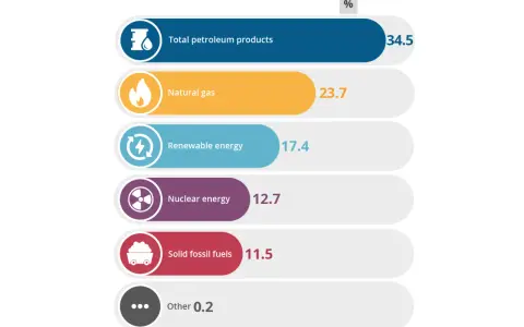 Grafische Darstellung des europäischen Strommix mit Prozentangaben für Erdölprodukte, Erdgas, erneuerbare Energien, Kernenergie, feste fossile Brennstoffe und Sonstiges.