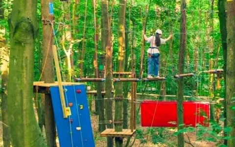 Dziewczynka na ściance wspinaczkowej i torze przeszkód w lesie. To jeden z najlepszych parków linowych w Polsce, oferujący emocje na wysokości.