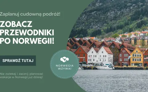 Planujesz studia licencjackie po angielsku w Norwegii? Zobacz przewodniki po tym kraju i zacznij planować podróż!