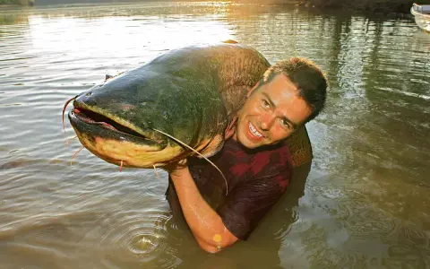 Ein Mann hält stolz einen riesigen Wels im Wasser. Ein erfolgreicher Tag beim Angeln auf Wels!