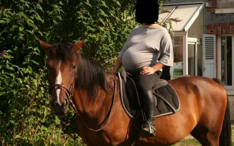 Une femme enceinte profite d'une balade à cheval, un moment de sérénité avant l'arrivée de bébé. L'équitation et grossesse, une combinaison harmonieuse.