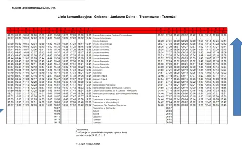 Rozkład jazdy autobusów MPK Gniezno, linia 725, kursująca między Gnieznem, Jankowem Dolnym i Trzemesznem.