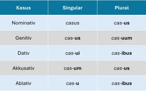 Tabelle zur lateinischen U-Deklination: Kasus, Singular und Pluralformen des Wortes "casus".