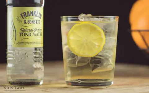 Gin z tonikiem: jak zrobić idealny drink w domu? Poradnik