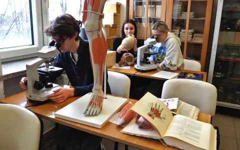 Studenci biologii medycznej zgłębiają tajniki anatomii przy mikroskopach i modelach.