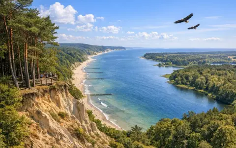 Woliński Park Narodowy: klify, plaża, morze i dwa orły szybujące na niebie. Widok z platformy widokowej.