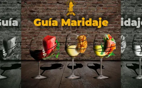Guía de maridaje: un trozo de carne roja con hierbas, papas fritas y salmón con ensalada, acompañados de copas de vino, incluyendo un tempranillo vino.