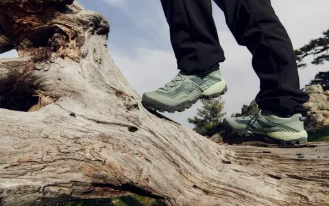 Zielone buty trekkingowe na pniu drzewa. Idealne na górskie wędrówki, zapewniające stabilność i komfort.
