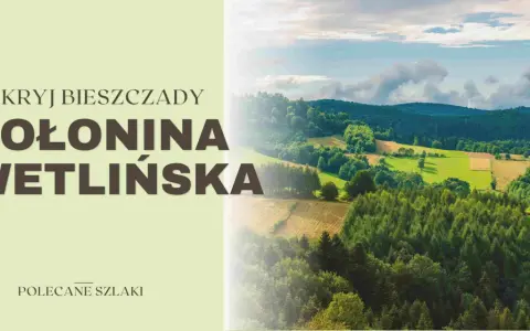 Odkryj Bieszczady! Połonina Wetlińska wita zielonymi wzgórzami i lasami. Idealne miejsce na wędrówki.