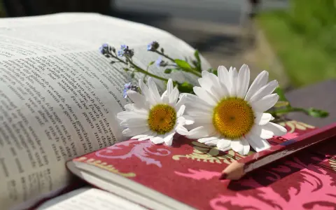 Otwarta księga, stokrotki i niezapominajki. Dobre uczynki religia inspirują do piękna i dobra.