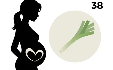 Silhouetten einer schwangeren Frau mit einem Herzsymbol auf dem Bauch, daneben eine Lauchstange und die Zahl 38. 38. SSW.