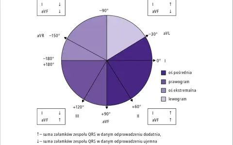 Diagram osi elektrycznej serca, kluczowy do zrozumienia, jak odczytać wynik EKG. Pokazuje rozmieszczenie odprowadzeń i ich kąty.