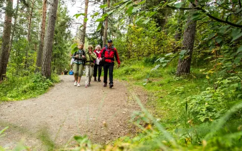 En grupp vandrare går längs en grusväg genom en lummig skog, en del av pilgrimsleder Sverige.