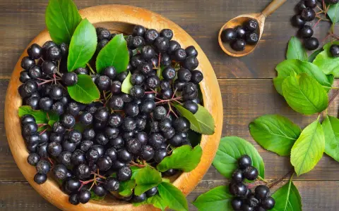 Frische Aroniabeeren in einer Holzschale und auf einem Löffel, bereit zum Verarbeiten.