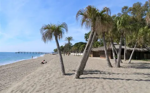 Piękny marbella beach z palmami, piaskiem i molo w oddali. Słońce i błękitne niebo zapraszają do relaksu.