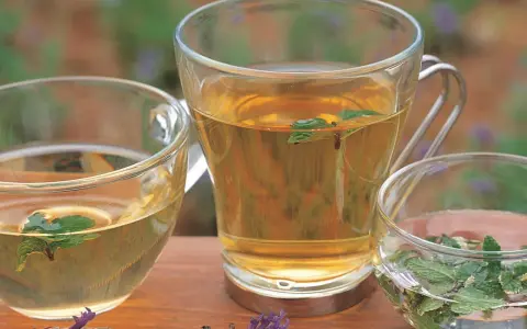 Tres tazas de cristal con infusiones de hierbas, algunas con hojas de menta flotando. Perfectas infusiones antiinflamatorias para un momento de relax.