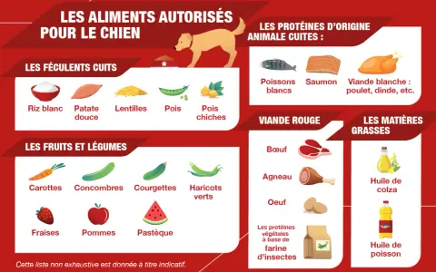 Guide pour une cuisine pour chien : 50 recettes santé. Aliments autorisés : féculents, fruits, légumes, viandes et poissons cuits, huiles.