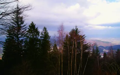 Widok na Beskidy z lasem w pierwszym planie i chmurami na niebie.