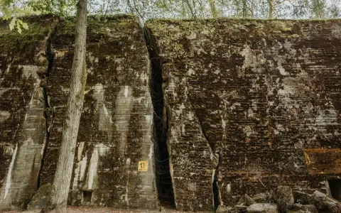 Rozpadające się bunkry Hitlera na Mazurach, porośnięte mchem i otoczone drzewami. Widoczna szczelina i żółta tabliczka z numerem 13.