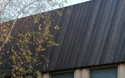 Un muro inclinato di legno bruciato giapponese, con rami spogli e foglie gialle che si stagliano contro il cielo.