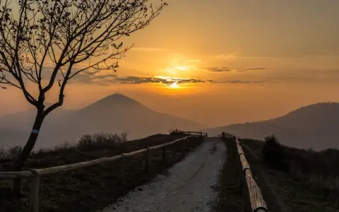 Sentiero sul pianoro del Mottolone al tramonto, con un albero spoglio in primo piano e colline nebbiose all'orizzonte.