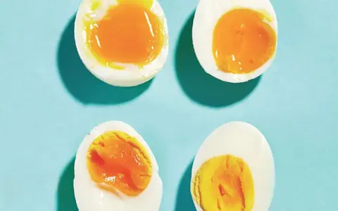 Quatre moitiés d'oeuf à la coque sur fond bleu. Deux ont un jaune coulant, les autres un jaune plus ferme.
