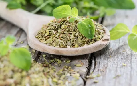 Getrockneter Oregano auf einem Holzlöffel, bereit zum Würzen. Frische Blätter daneben zeigen, wie man Oregano trocknen kann.