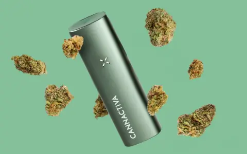 Vaporizador verde con cogollos de cannabis flotando. ¿Cuánto vapear al día?