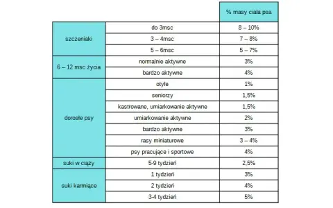 Co gotować szczeniakowi? Zdrowa dieta krok po kroku + czego unikać