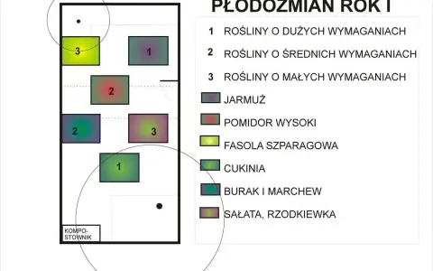 Schemat płodozmianu. Fasolka szparagowa (3) dobrze rośnie obok pomidorów (2) i roślin o małych wymaganiach.