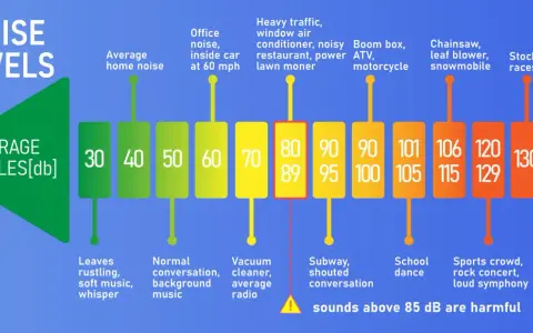 Graphique des niveaux sonores en décibels. Un exemple de 55 dB correspond à une conversation normale. Les sons au-dessus de 85 dB sont nocifs.