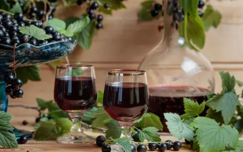 Dwa kieliszki z ciemnym likierem cassis, obok karafka i miseczka pełna czarnych porzeczek, otoczone liśćmi i owocami.