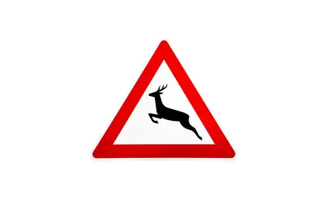 Warnschild: Achtung, Wildwechsel! Ein springendes Reh im roten Dreieck weist auf die Gefahr hin, dass Tiere die Straße überqueren könnten.