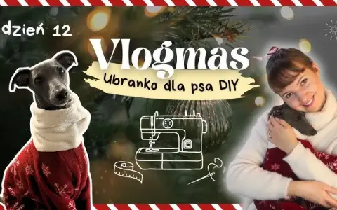 Jak zrobić ubranko dla psa z bluzy - proste kroki i porady