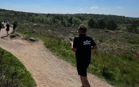 Grupp löpare njuter av trail running i en kuperad, skogig terräng under en solig dag.