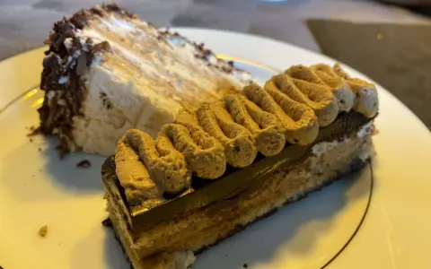 Deux parts de gâteau, dont une avec une crème légère et des copeaux de chocolat, l'autre un opéra conticini, sur une assiette blanche.