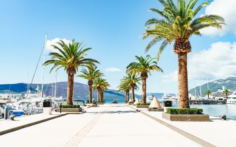 En vacker strandpromenad med palmer leder mot en hamn full av lyxyachter. En perfekt vy vid en flygplats i Montenegro.