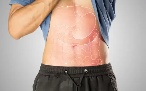 Anatomia jamy brzusznej z zaznaczonymi narządami wewnętrznymi.