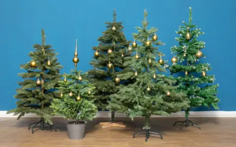 Fünf geschmückte Weihnachtsbäume in verschiedenen weihnachtsbaum arten stehen vor blauem Hintergrund.