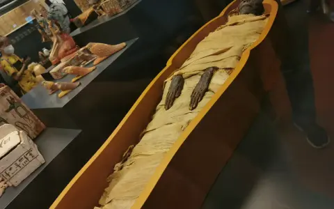 Mumifikacja w starożytnym Egipcie: zmumifikowane ciało w sarkofagu, obok artefakty.