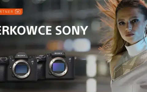 Bezlusterkowce Sony dla początkujących: jak wybrać idealny model na start?