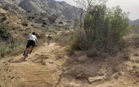 Dust flies as cyclists tackle a rugged trail, enjoying mountain biking in Los Angeles.