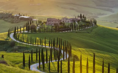 Un suggestivo itinerario Val d'Orcia 3 giorni: cipressi fiancheggiano una strada tortuosa tra dolci colline verdi al tramonto.