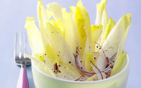 Frischer Chicorée Salat mit Orangen und roten Zwiebeln, gewürzt mit Pfeffer. Ein leichtes Gericht, das Lust auf mehr macht.