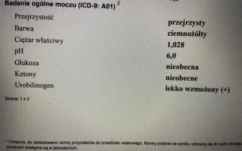 Wynik badania ogólnego moczu: Urobilinogen lekko wzmożony (+).