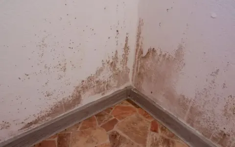 Esquina de pared con manchas de humedad y moho. Se necesita tapar rozas para solucionar el problema.