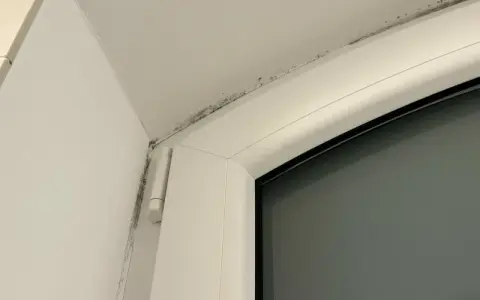 Moisissure noire le long du cadre d'une fenêtre, signe d'un pont thermique.